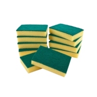 Sponge Scourer (40 x 10)